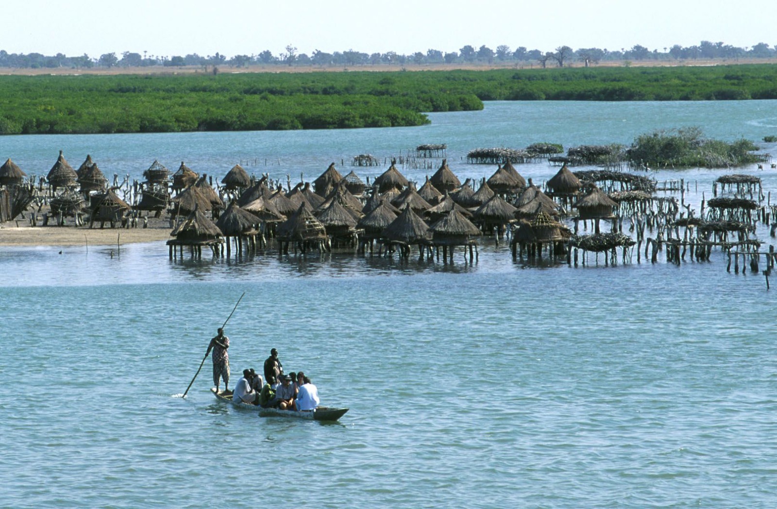 Balade en pirogue dans le Sine Saloum
