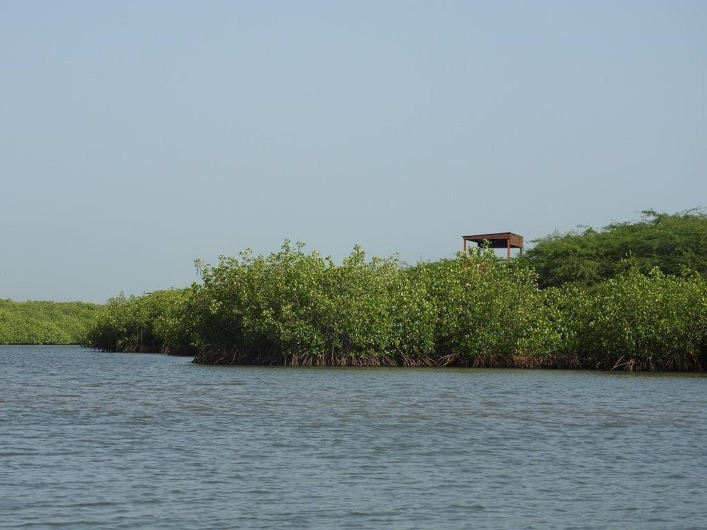 Excursions à La Lagune de la Somone